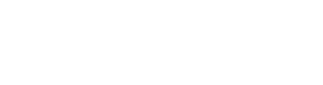 ANZ Consulting